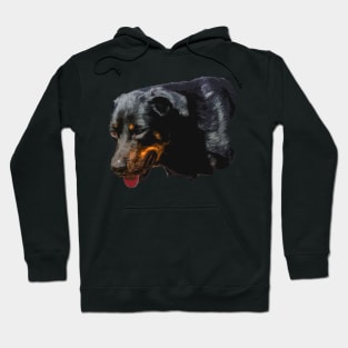 rottweiler Hoodie